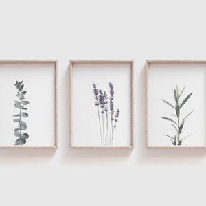 Meet your Posher, Lexie